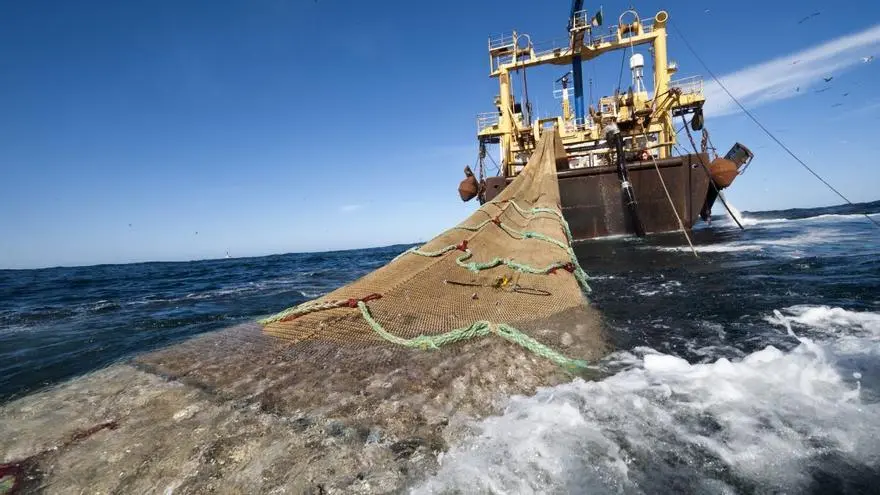consecuencias de la pesca en el medio ambiente - Cómo afecta la contaminación del mar a los pescadores