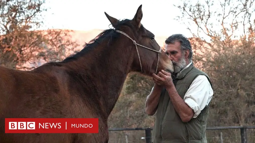 caza de caballos salvajes - Cómo en América llaman a los domadores de caballos salvajes