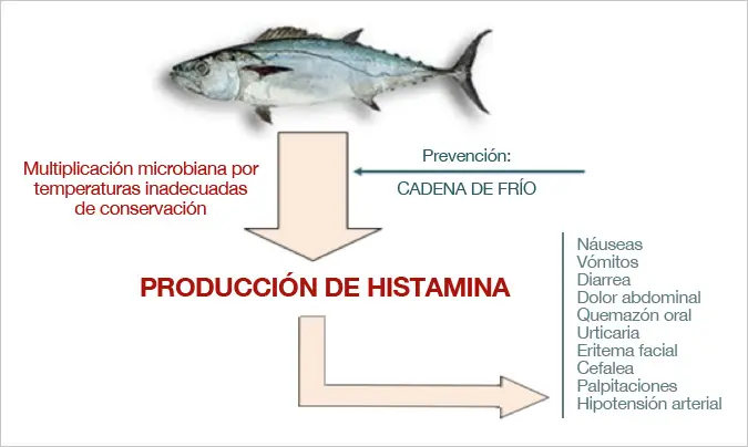 pescado intoxicacion - Cómo evitar intoxicación por pescado