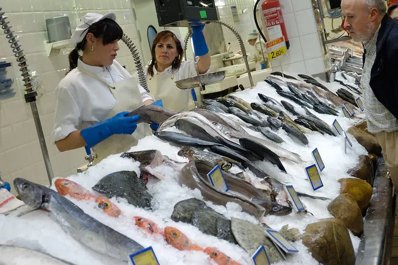 manipulacion del pescado - Cómo evitar la contaminación del pescado