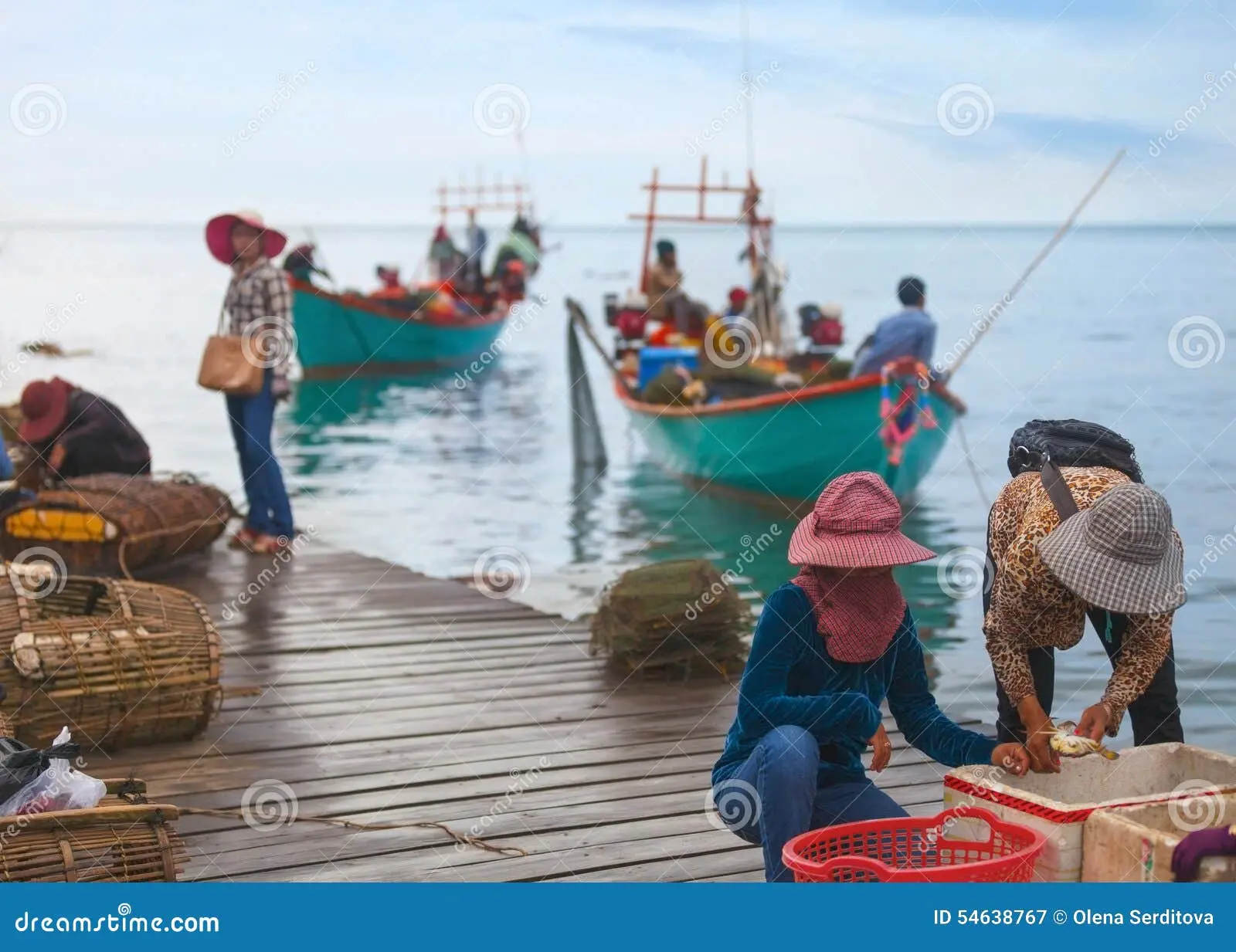 pesca tradicional asiatica - Cómo pesca un Cormoran