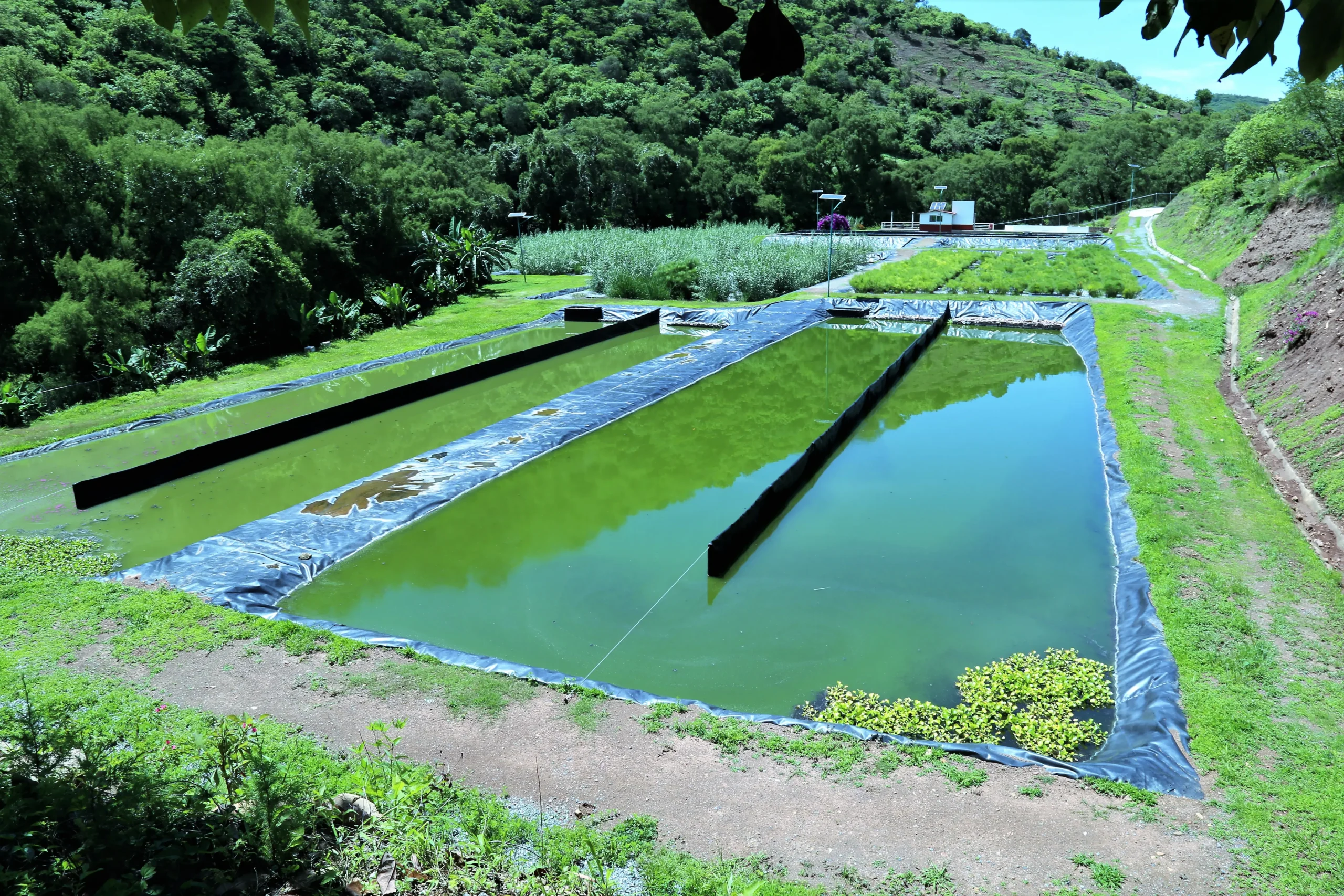 lagunas de tratamiento de aguas residuales - Cómo se clasifican las lagunas de estabilización