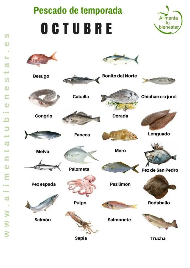 clases de pescado - Cómo se clasifican los pescados y cuáles son