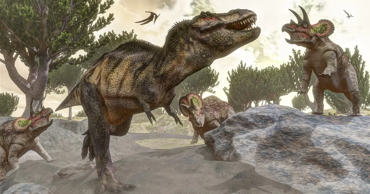 como cazaba el tiranosaurio rex - Cómo se defiende el Tyrannosaurus rex