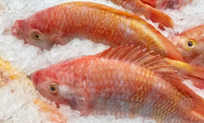como descongelar pescado correctamente - Cómo se descongela la carne y el pescado