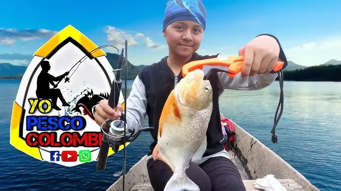 pesco de pescar - Cómo se dice pescar en tiempo pasado
