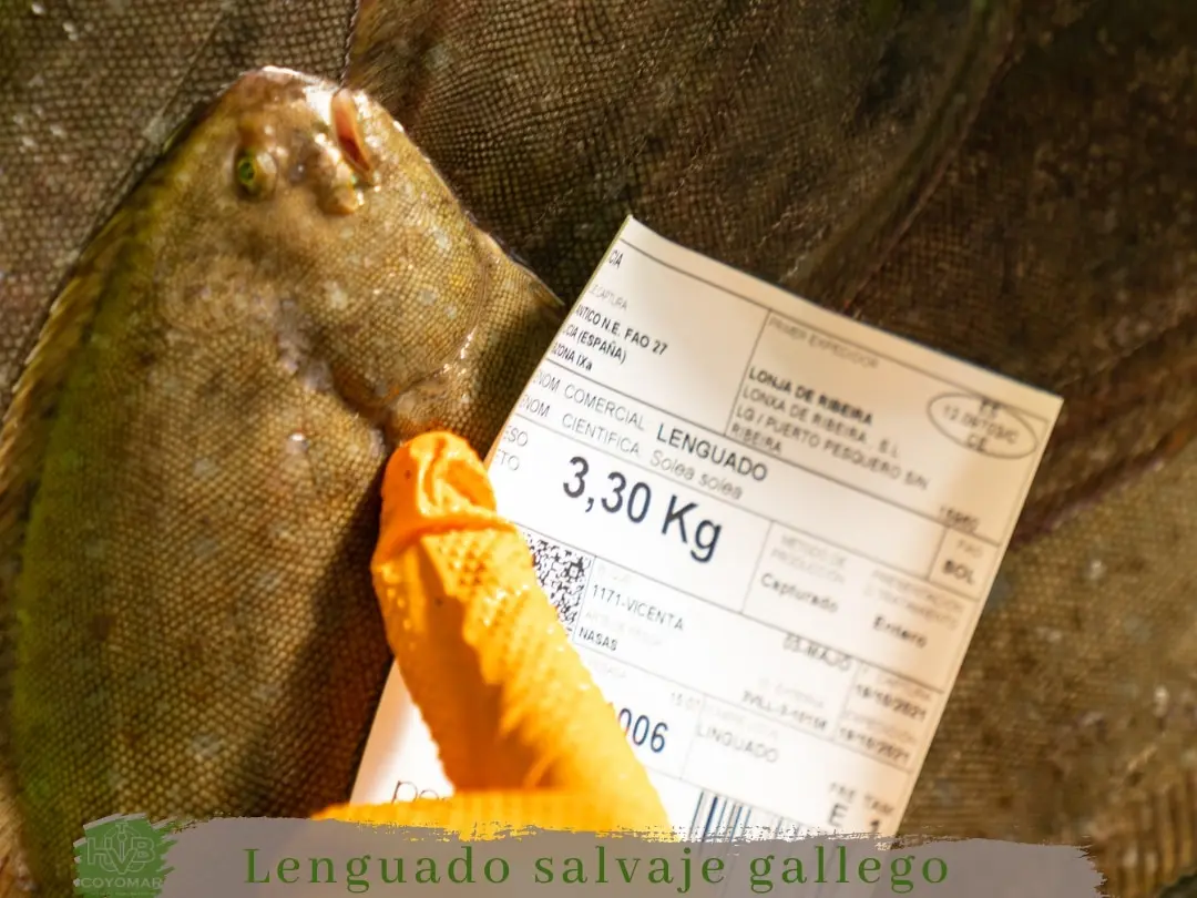 gallego pescado - Cómo se llama el lenguado en Galicia