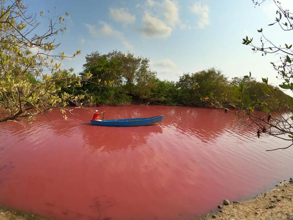laguna en yucatan - Cómo se llama la laguna rosa