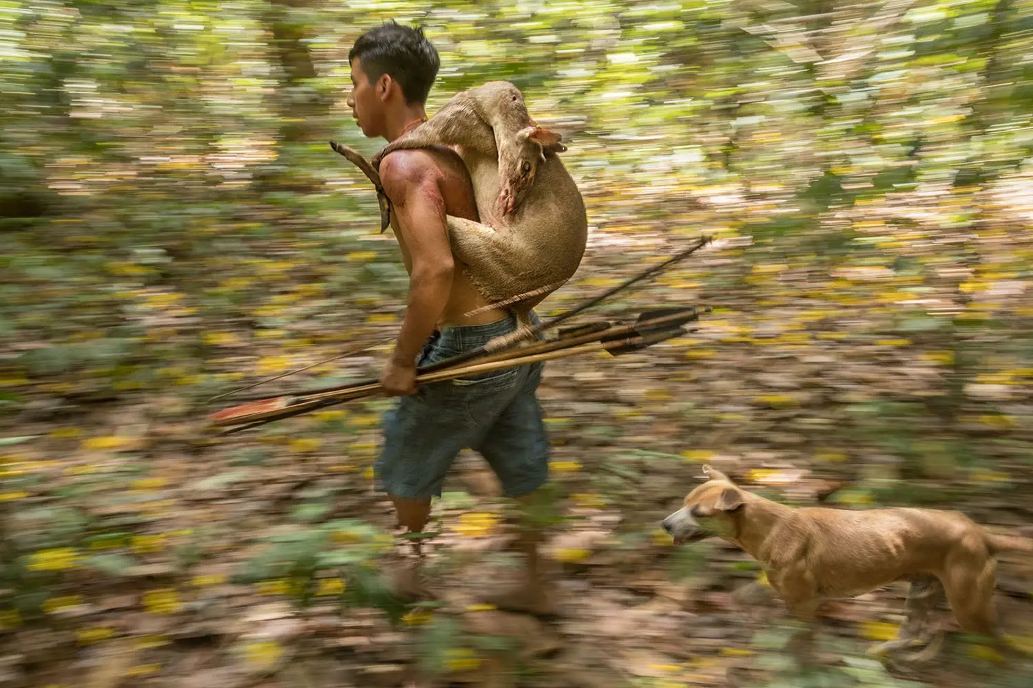 indios cazando en el amazonas - Cómo se llama los indios del Amazonas