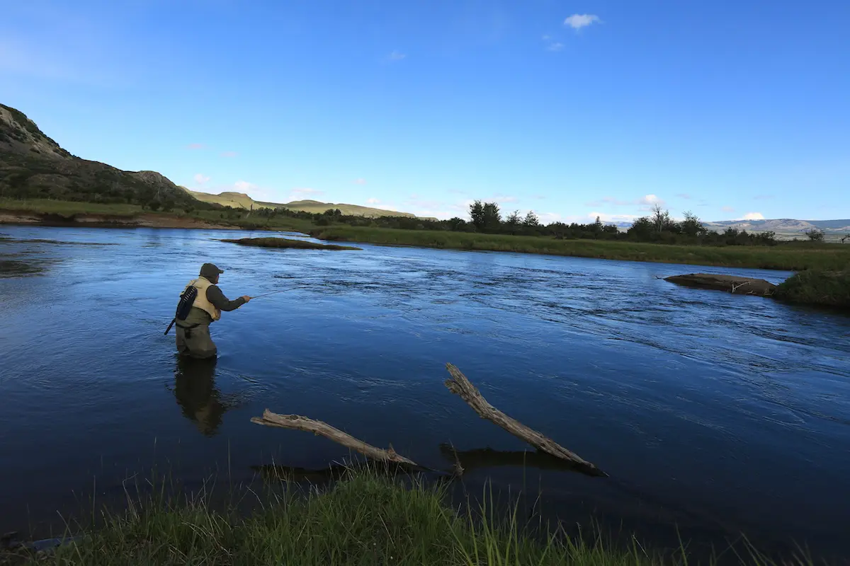 pesca en aysen - Cómo se pesca el salmón chinook