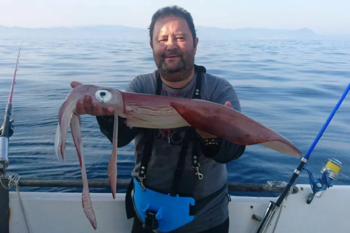 pesca de calamar - Cómo se realiza la pesca del calamar