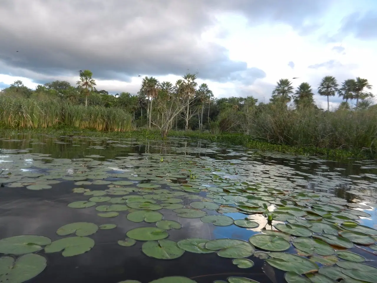 laguna ibera mapa - Cuál es el mejor lugar para visitar los Esteros del Iberá
