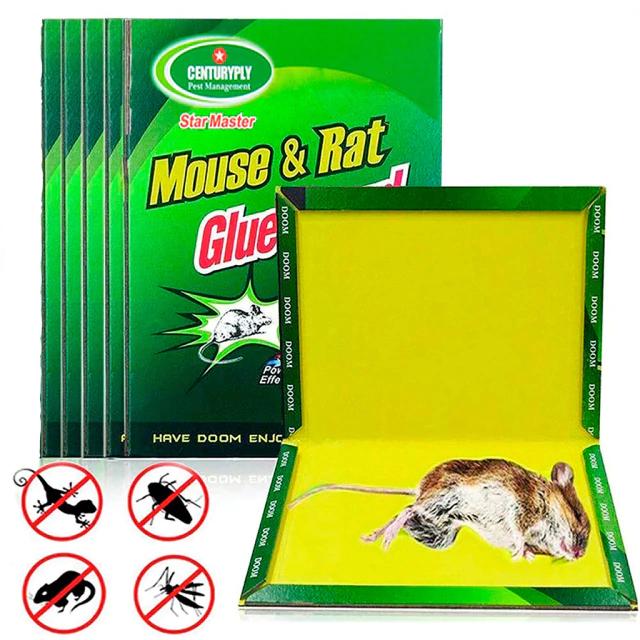 Papel pegamento para cazar ratones: método efectivo y seguro