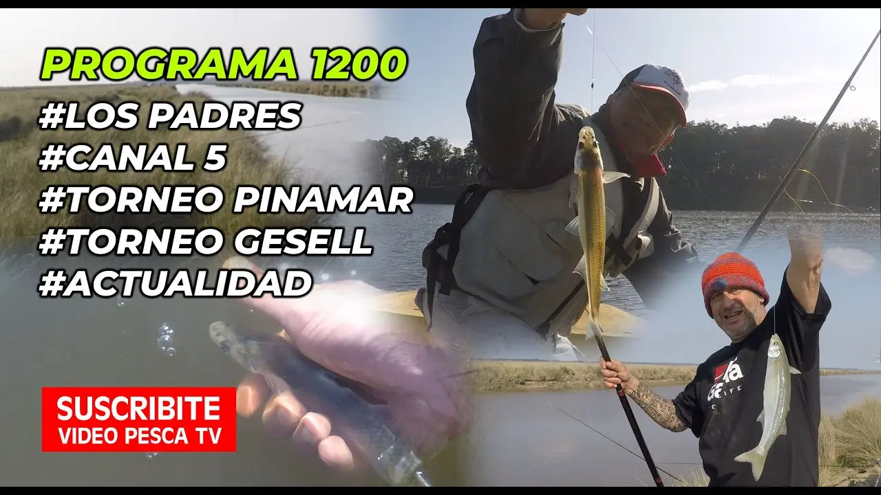 canal de pesca en cablevision - Cuál es el número del canal Telefe