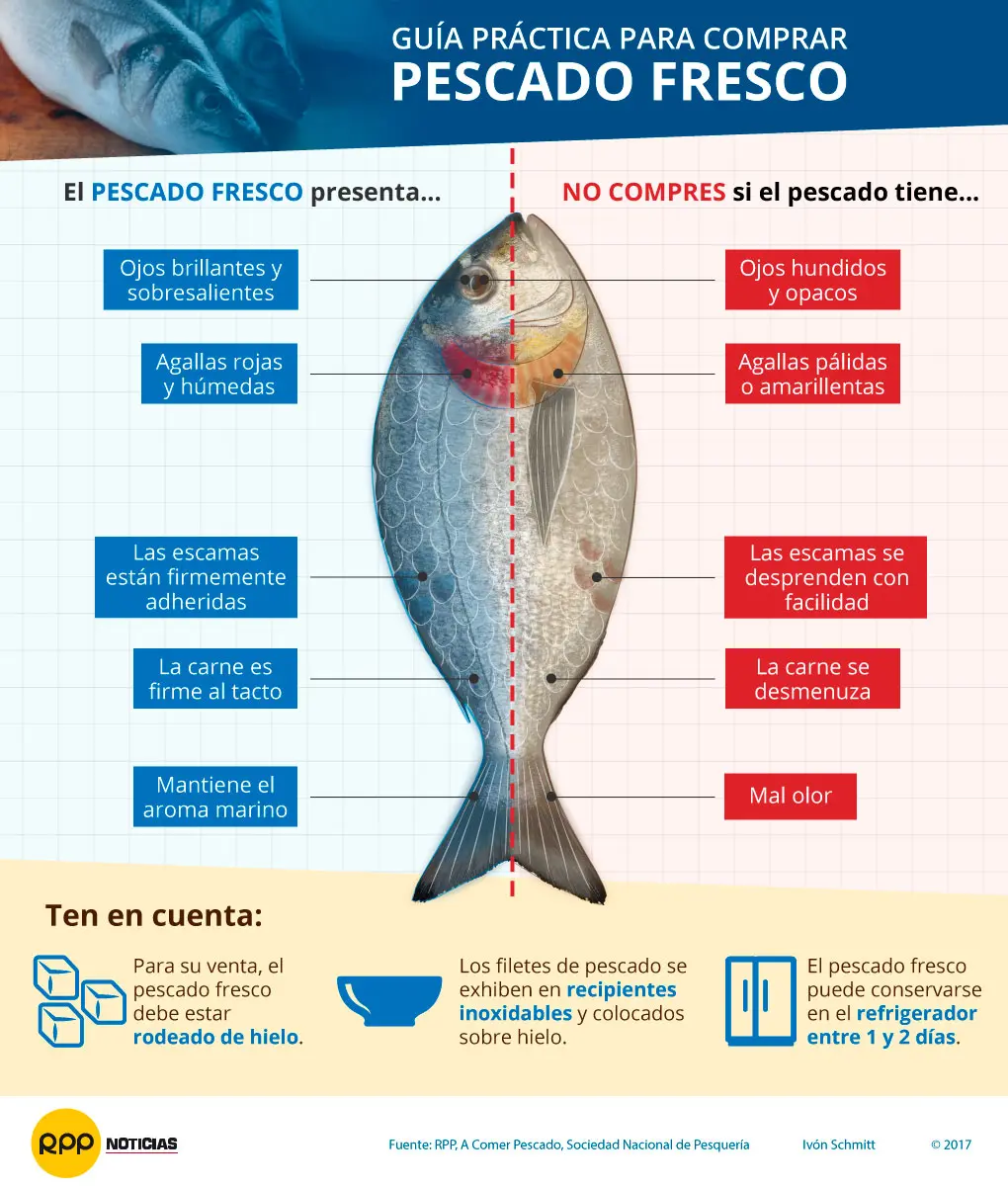 componentes del pescado - Cuál es el principal nutriente del pescado