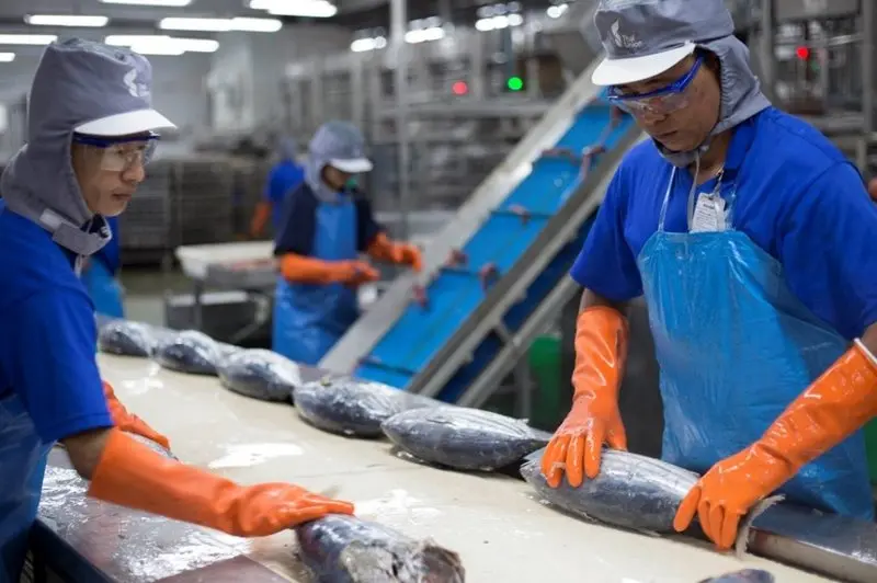 empresas que se dediquen a la pesca - Cuál es la empresa pesquera más grande del mundo