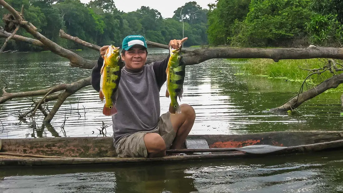 pesca en iquitos - Cuál es la flora y fauna de Iquitos