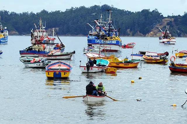 pesca artesanal en chile - Cuál es la Ley de pesca en Chile
