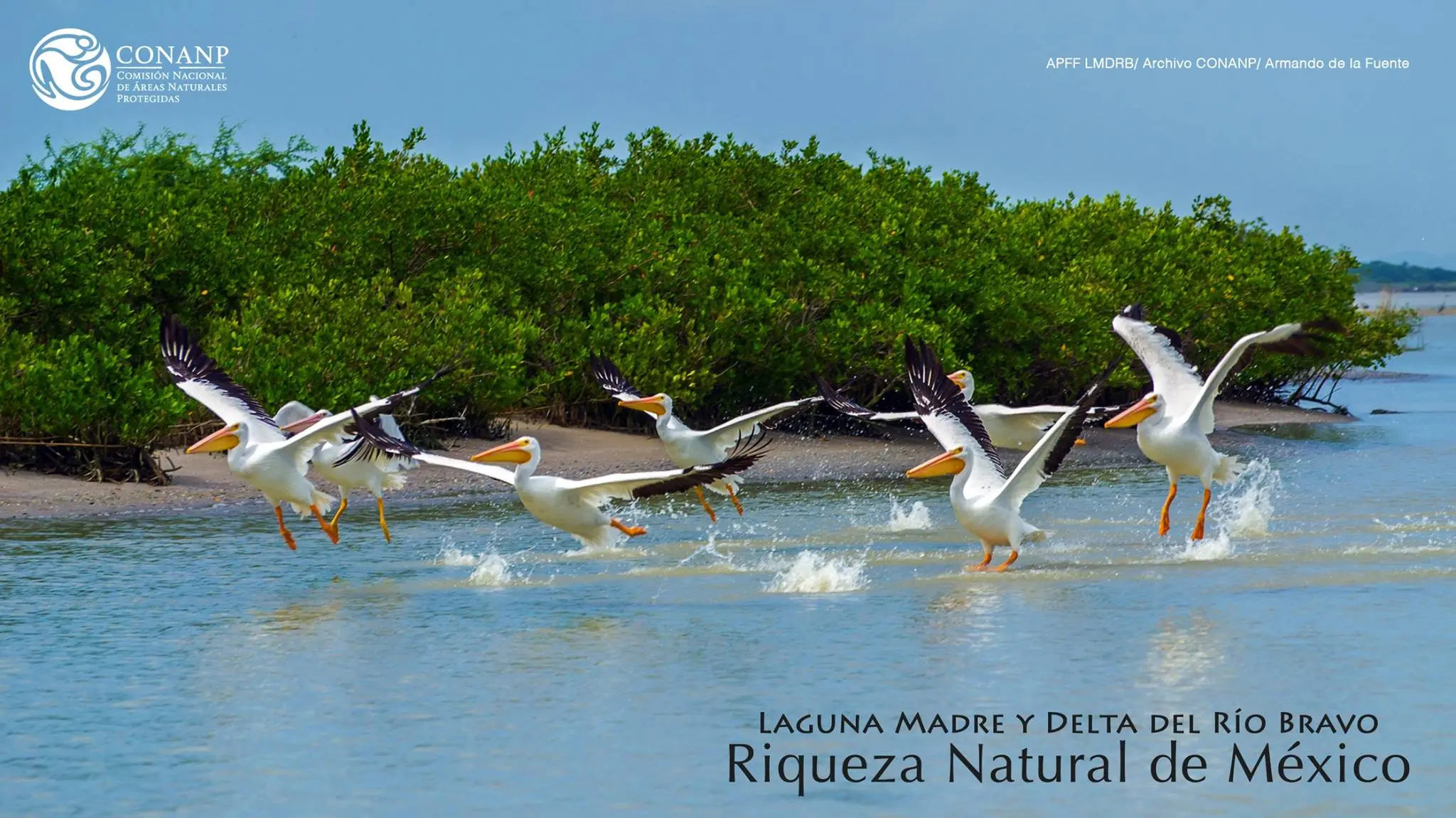 laguna madre y delta del río bravo - Cuáles son las áreas naturales protegidas en México