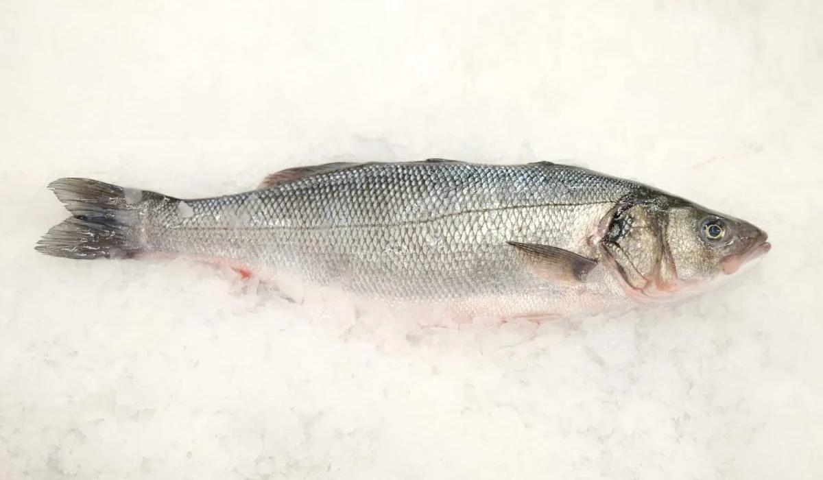 lista de pescados blancos - Cuáles son las carnes y pescados blancos