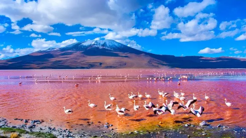 lagunas de bolivia - Cuáles son las lagunas de Bolivia
