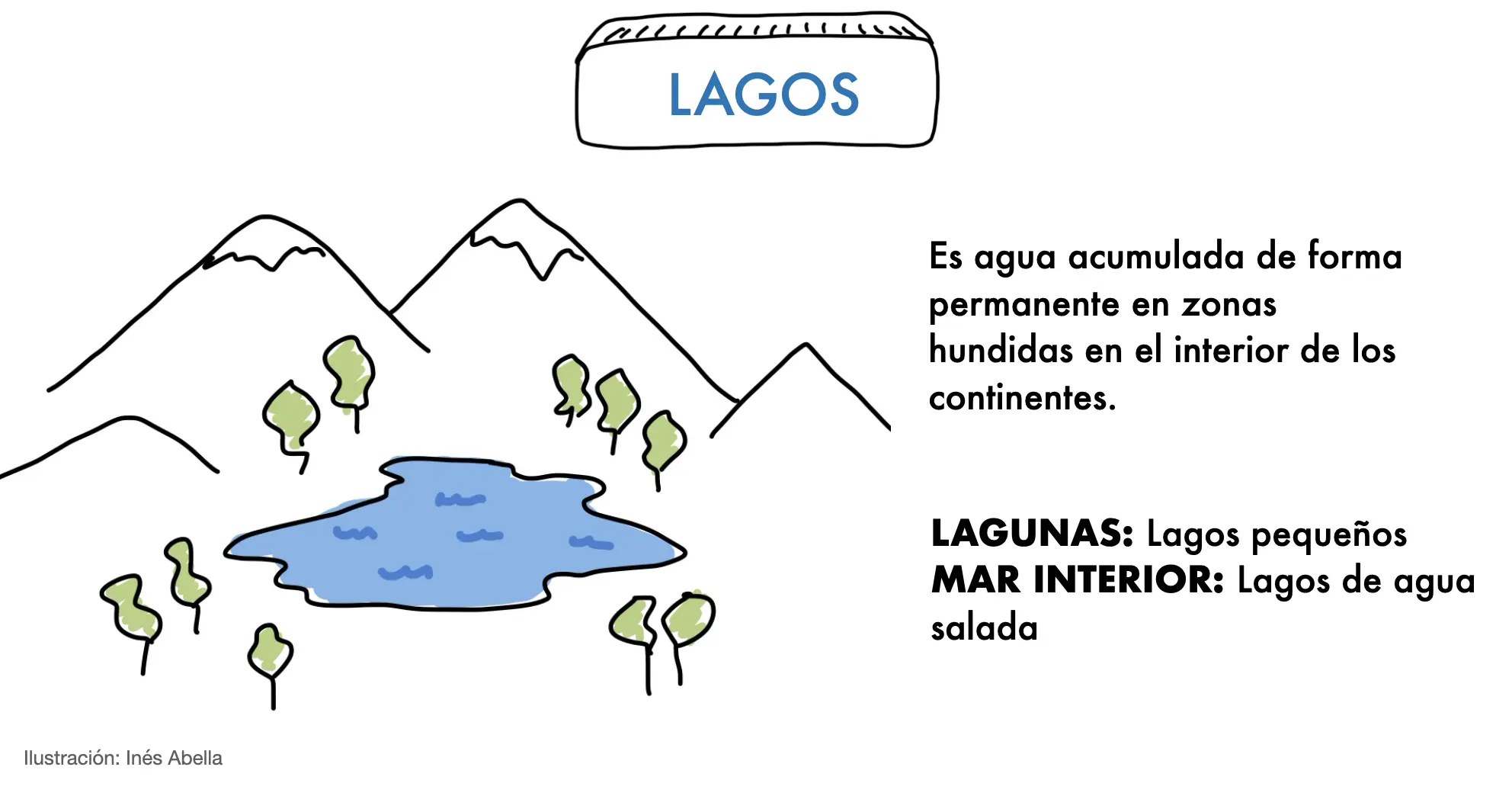 aguas continentales rios lagos y lagunas - Cuáles son los 4 tipos de aguas continentales