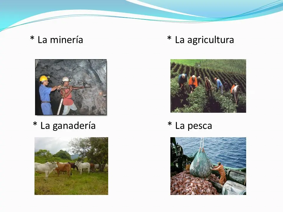 pesca agricultura ganaderia y mineria - Cuáles son los 5 sectores productivos