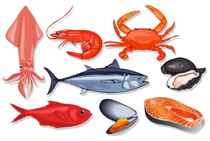 pescados y mariscos dibujos - Cuáles son los mariscos más abundantes