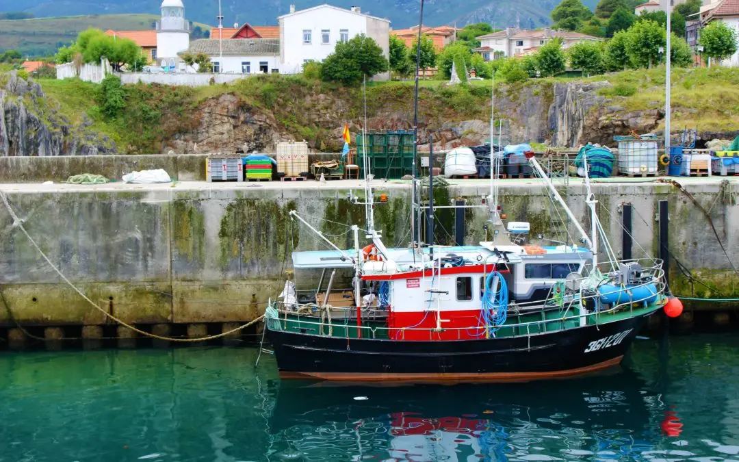 pesca en galicia - Cuándo empieza la temporada de pesca en Galicia 2023