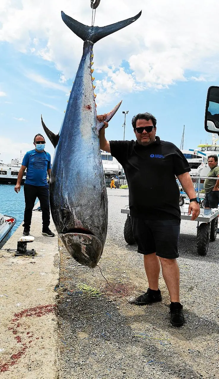 pesca de atun en españa - Cuándo es la temporada del atún en España