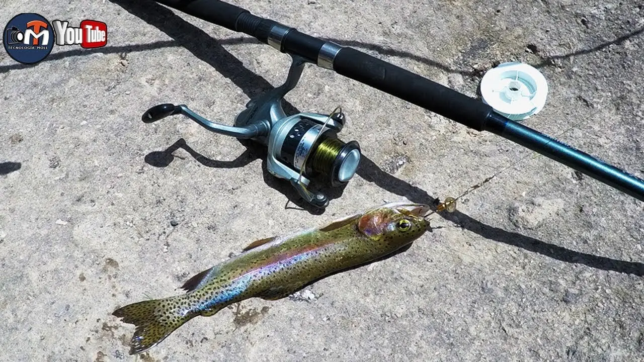 pesca con lombriz de tierra en rio - Cuándo pescar con lombriz