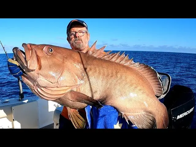 como pescar besugos grandes - Cuándo se pesca el besugo