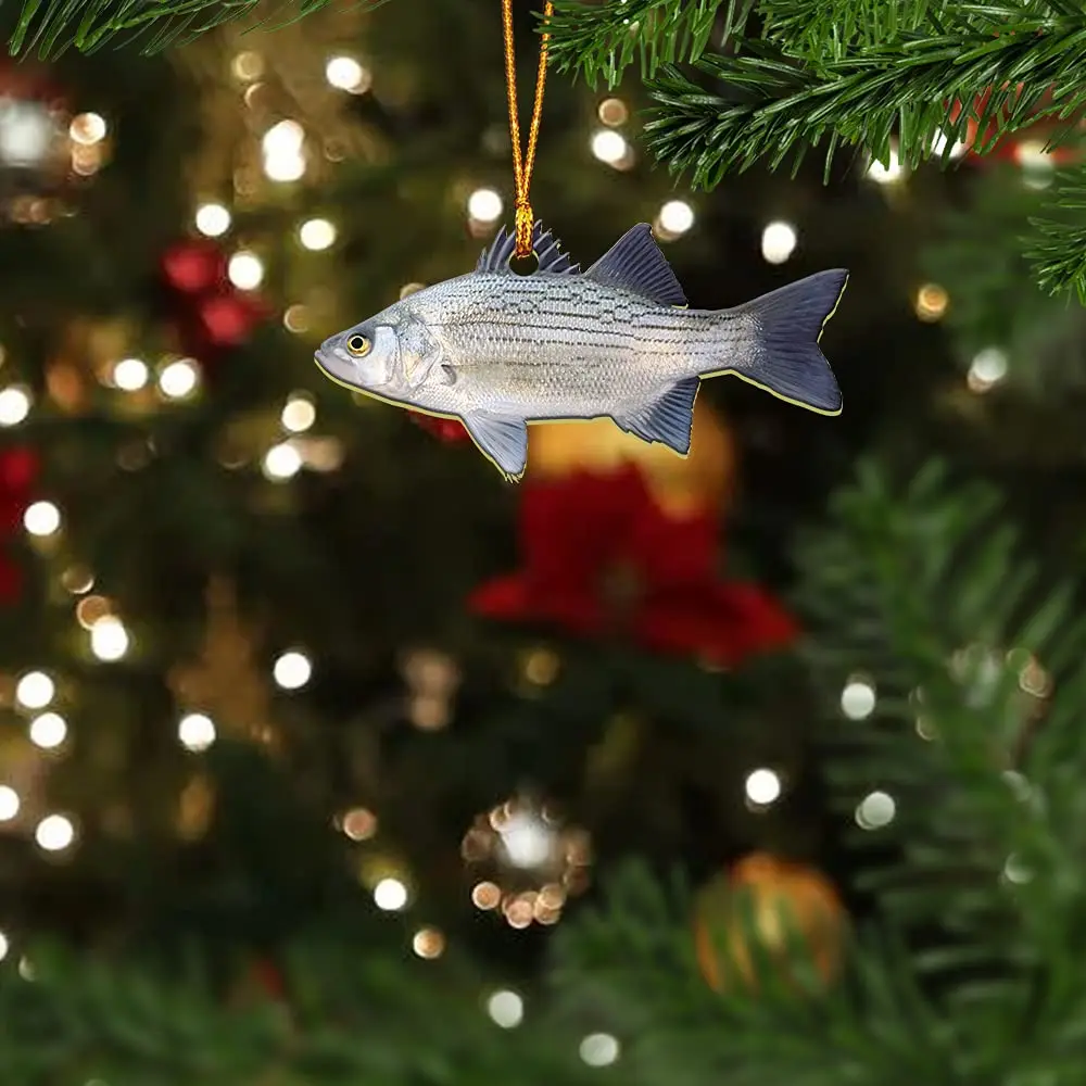 Pesca de bacoreta en navidad: tradición costera y consejos