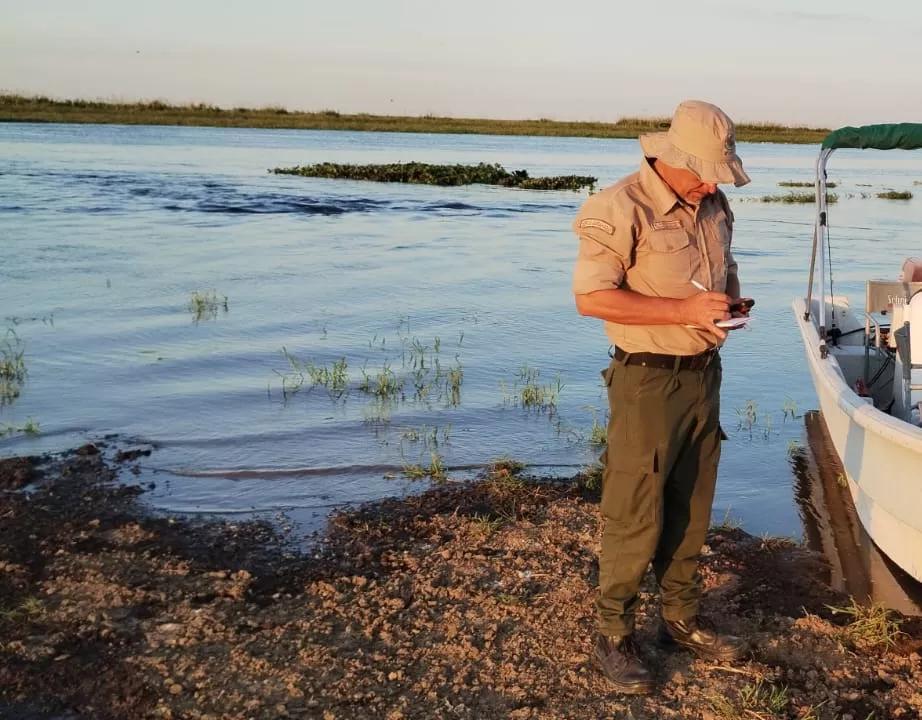 laguna del pescado - Cuántas especies de peces hay en el río Paraná