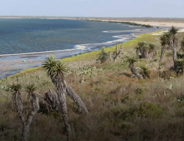 laguna madre y delta del río bravo - Cuánto mide la Laguna Madre