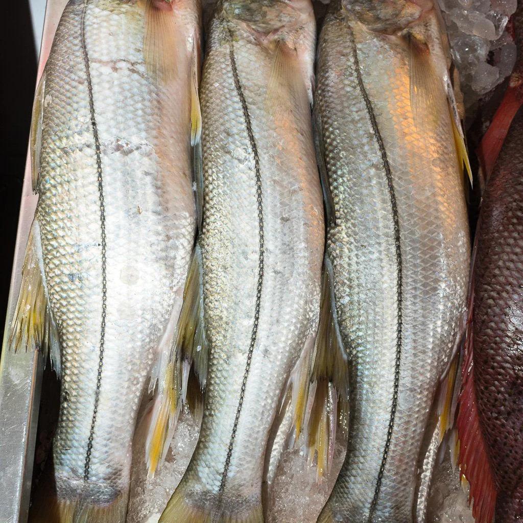 Robalo pescado: precio, presentaciones y curiosidades