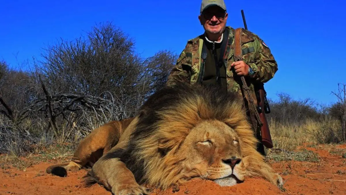cacerias africanas - Cuánto vale ir a cazar un león