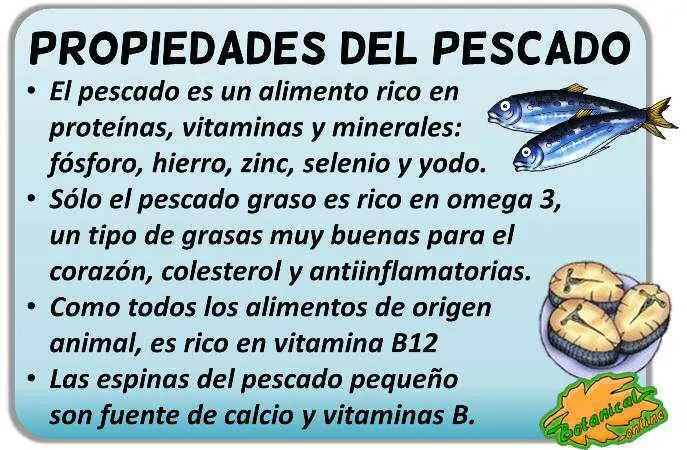 Propiedades Del Pescado: Beneficios Y Valor Nutritivo | Dia De Pesca