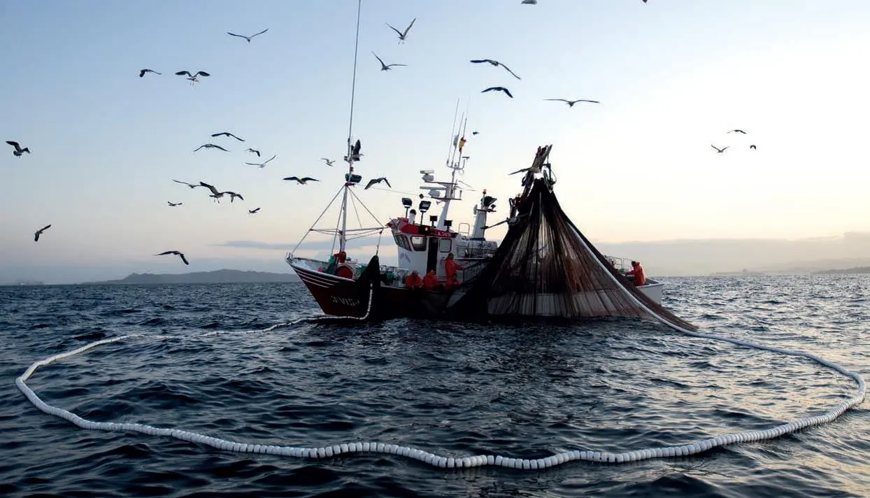 pesca en galicia - Dónde está prohibido pescar en Galicia