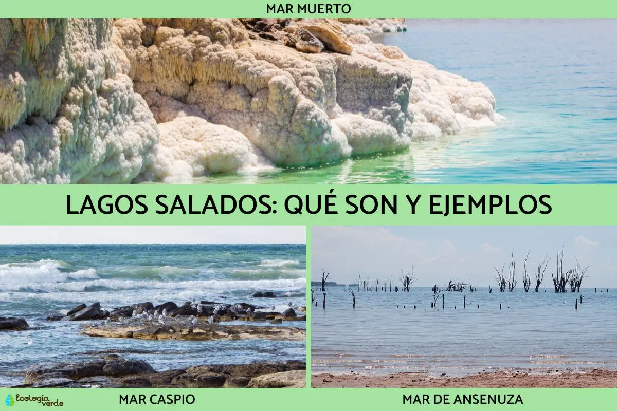 lagunas de agua salada en argentina - Dónde hay lagos de agua salada