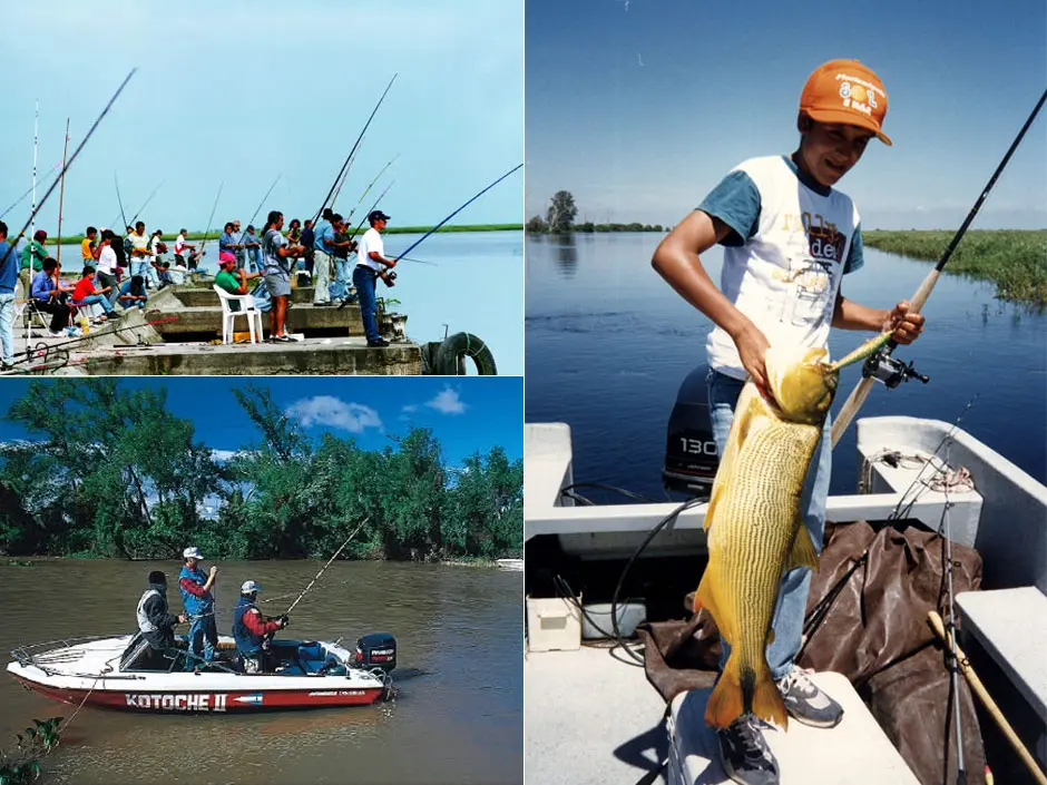 Articulos De Pesca Parana Entre Rios
