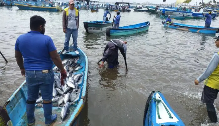pesca en santa elena - Dónde pescar en Santa Elena Entre Ríos