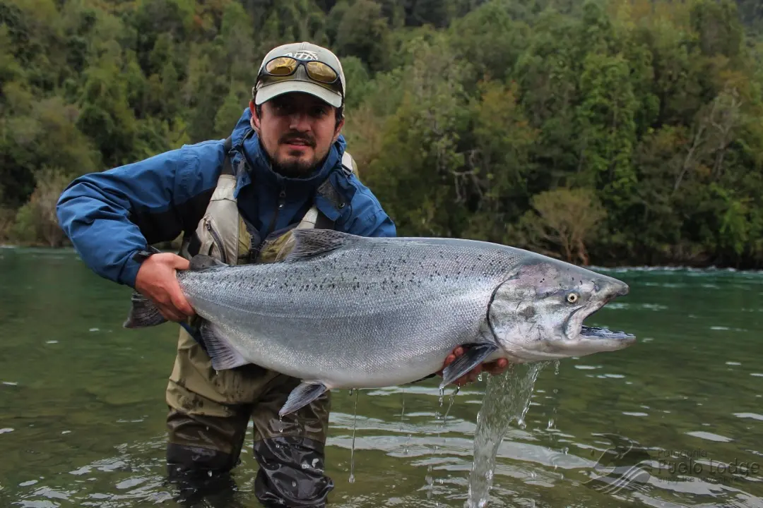 pesca de salmon en rios chilenos - Dónde pescar salmones en Chiloe
