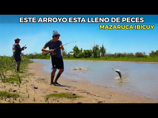 lugares para pescar en ibicuy - Dónde queda las 5 bocas