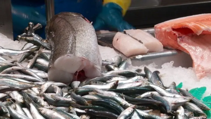 pescados mas consumidos en españa - Dónde se consume más pescado en España