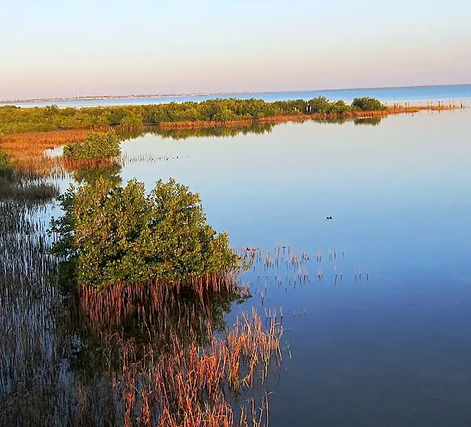 laguna madre y delta del río bravo - Dónde se encuentra la Laguna Madre y Delta del Río Bravo