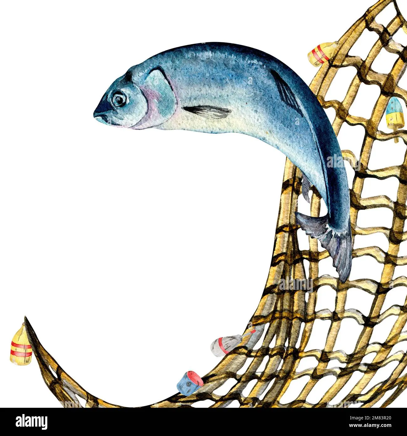 red de fondo para pescar sardinas y arenques - Dónde se pesca la sardina