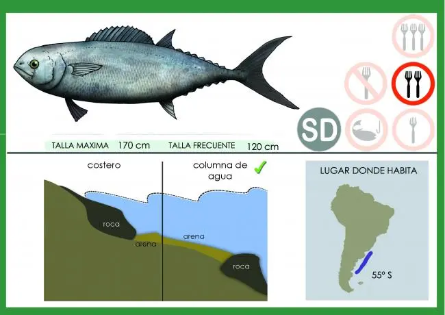 pesca de atun rojo en argentina - Dónde se puede pescar el atún rojo