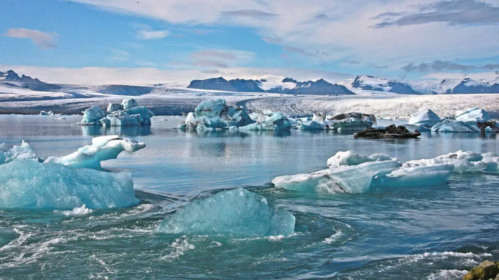 laguna glaciar de jökulsárlón - Dónde ver focas en jokulsarlon