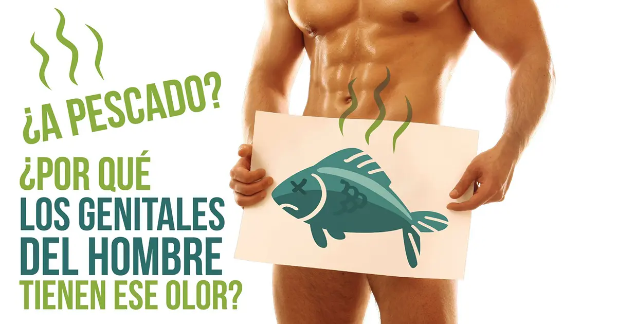 porque el esperma huele a pescado - Por qué cuando eyaculan dentro huele mal